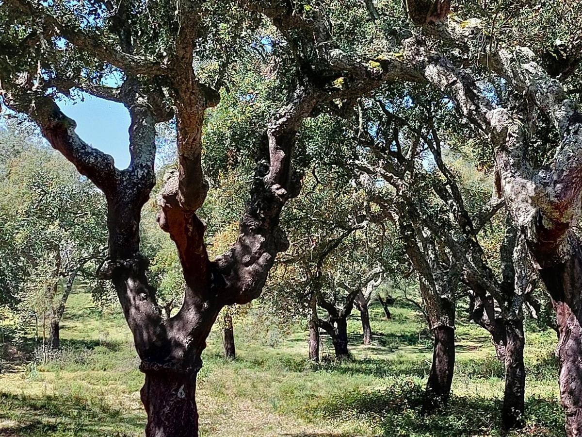 Mirarte Διαμέρισμα Montemor-o-Novo Εξωτερικό φωτογραφία
